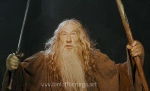 Create meme: pendalf, Gandalf, you shall not pass