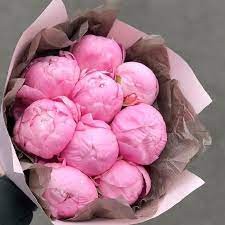 Create meme: peonies, bouquet of pink peonies, pink peonies bouquet