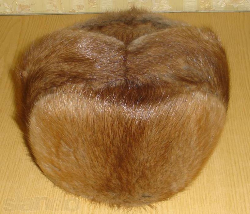 Create meme: pyzhikovaya hat, muskrat hat, men's fur hat