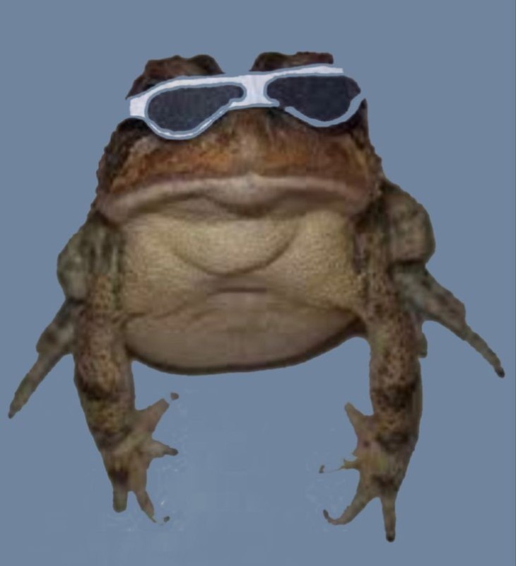 Create meme: toad frog, cool frog, frog with glasses