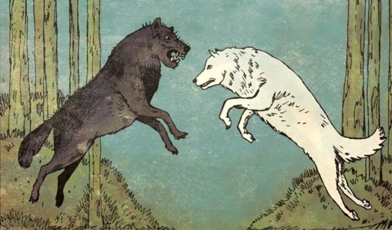 Create meme: two wolves, wolf tale, wolf 