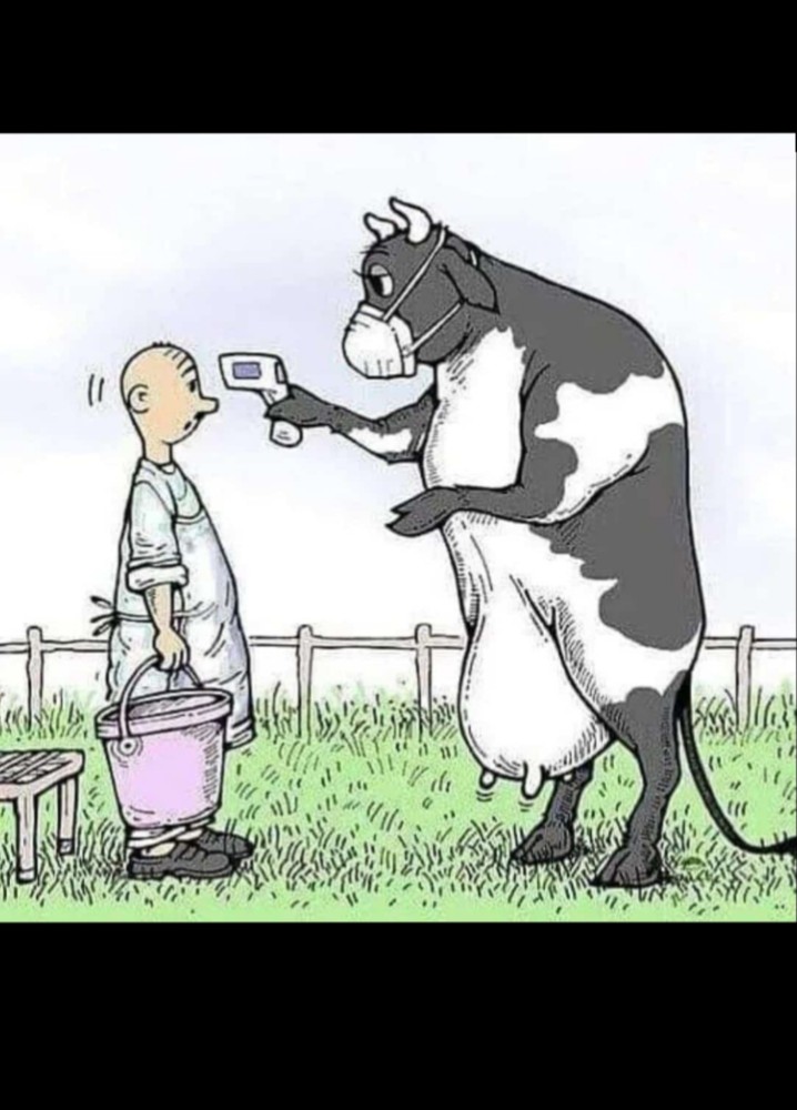 Woman Milked Like A Cow