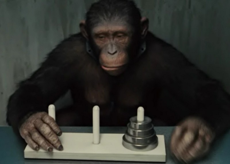 Создать мем: обезьяна шимпанзе, планета обезьян, шимпанзе