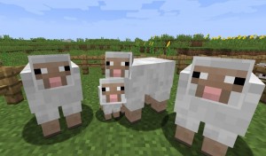 Create meme: sheep from minecraft, minecraft, sheep in minecraft