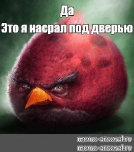 Create meme: angry birds, angry birds red, angry birds