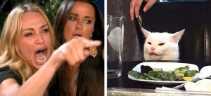 Create meme: famous memes, memes animals, the girl yells at the cat