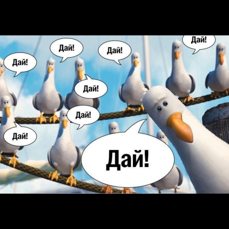 Create meme: Seagull from Nemo, seagulls Nemo, give give give seagulls