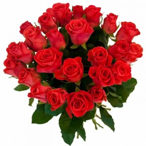 Создать мем: букет красных роз, букет красных цветов png, букеты цветов фото розы красные
