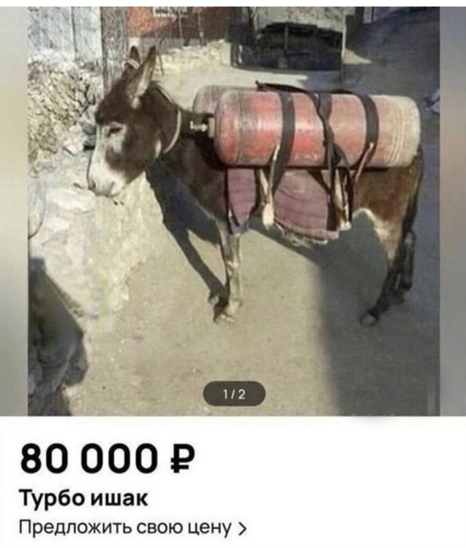 Create meme: donkey , donkey on the gas, donkey and donkey