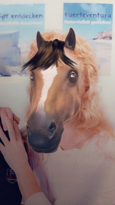 Create meme: horse mask, horse mask, horse head