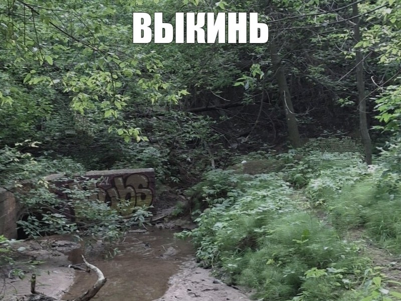 Create meme: stream, Danilikha river Perm, the Danilikha River