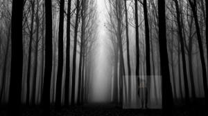 Create meme: scary forest, dark forest, dark dark forest