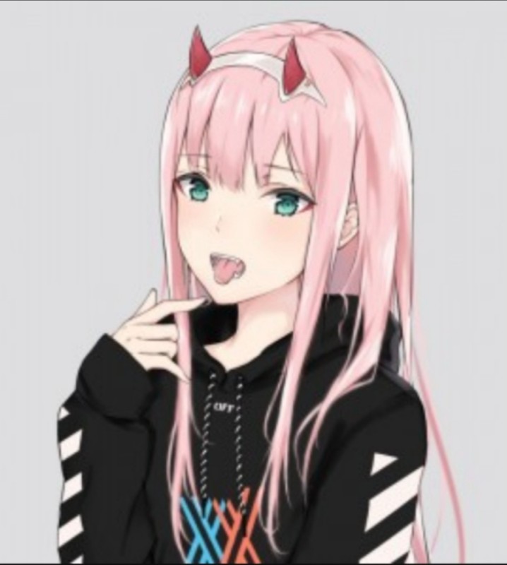 Create meme: waifu zero two, anime girl, anime girls