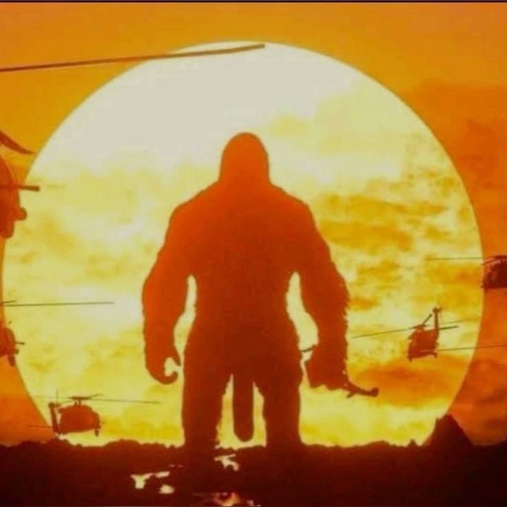 Create meme: Kong Skull Island sunset, king kong 2017, Kong skull island 