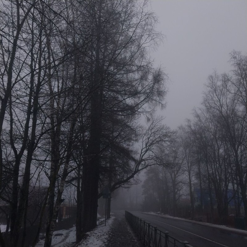 Создать мем: foggy road, туман в москве, coastal fog