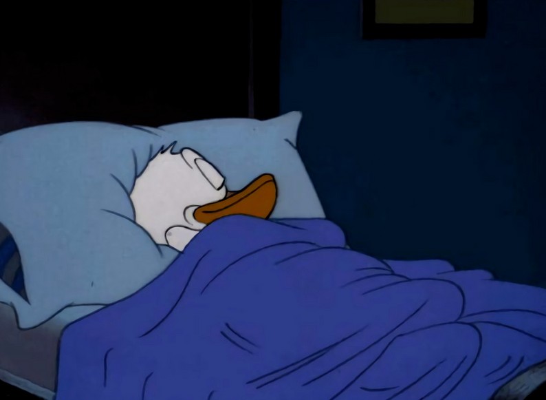 Create meme: Sleepy Donald, sleepy Donald duck, The sleepless Donald Duck