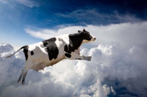 Создать мем: корова в космосе, корова в воздухе, летающая корова