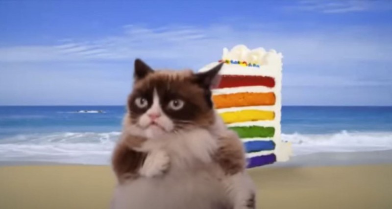 Создать мем: grumpy cat died, грампи кот улыбается, грампи кэт