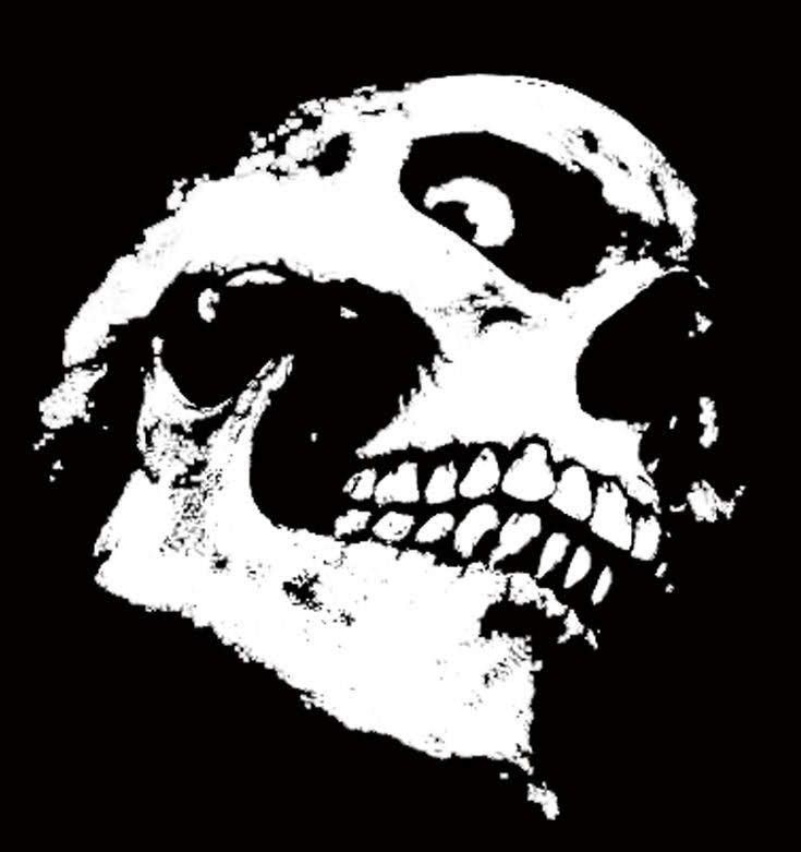 Create meme: skulls on a black background, skull black, Misfits a skull on a black background