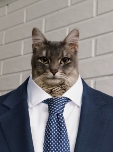 cat in business suit meme