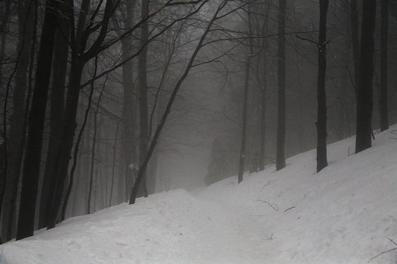 Create meme: gloomy winter, winter is dark, scary winter forest