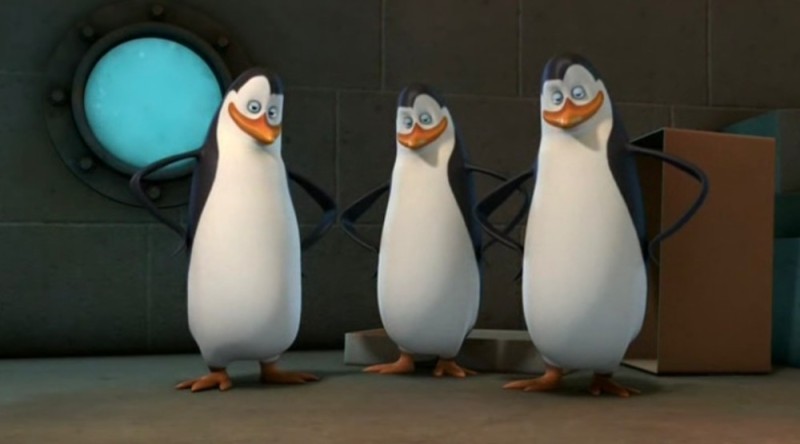 Создать мем: пингвины из мадагаскара савио, пингвины мадагаскара ковальски, пингвины из мадагаскара прапор