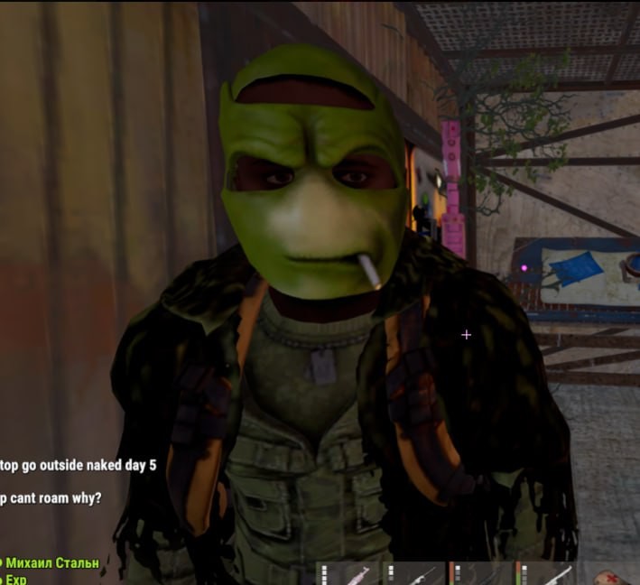 Create meme: Stalker freedom jamb, stalker mod, The mask of Donatello the Teenage Mutant Ninja Turtles