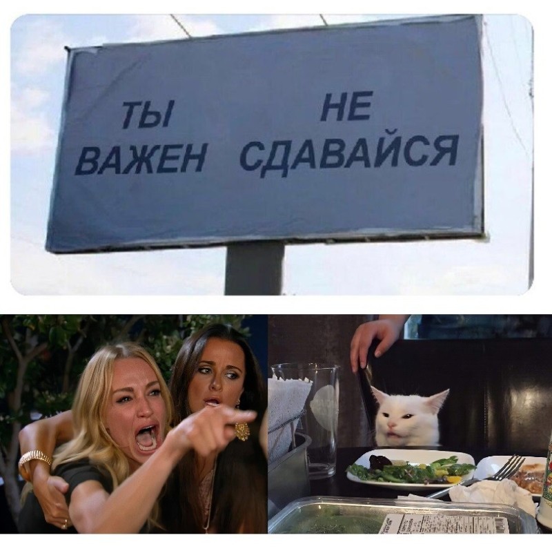Создать мем: кот и женщина мем, мемы, мемы с котами