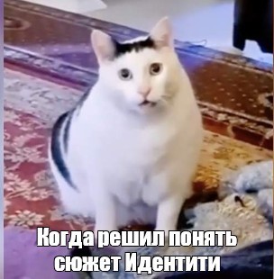 Create meme: bender the cat, Mammy cat, cat meme 