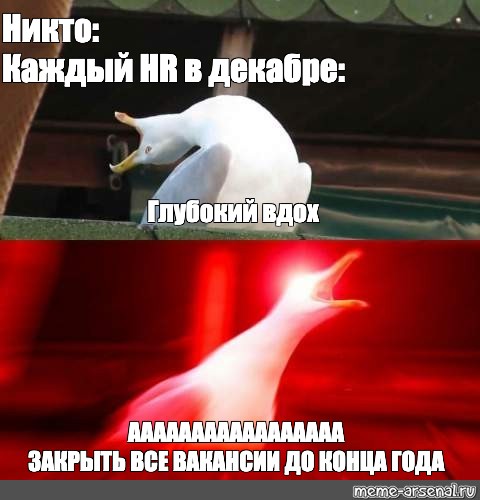 Никто всякая. Мем Гусь глубокий вдох. Мемы про чаёк. Конец года Мем. Гусь Мем глубокий вдох ракета.