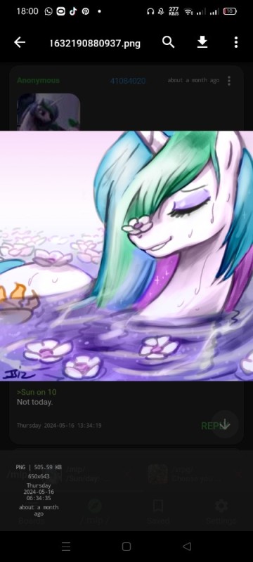 Create meme: Princess Celestia , art pony, celestia mlp