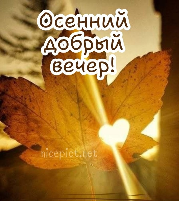 Create meme: autumn , Autumn leaves, cards with good autumn evening