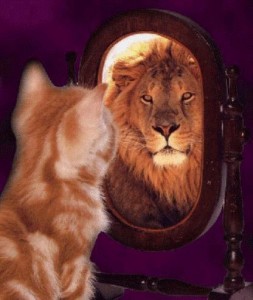 Create meme: Cat, pictures confidence the kitten and the lion, the picture lion in the mirror