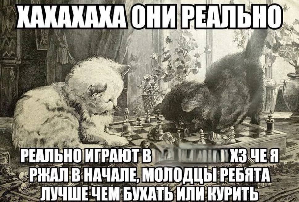 Create meme: cat , cat and chess, the master and Margarita the cat Behemoth