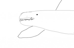 Create meme: shark drawing