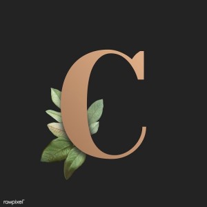 Создать мем: лого буквы c, красивая буква d, красивая буква o