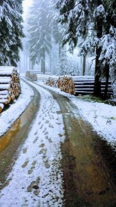 Create meme: road in winter, winter road, winter road