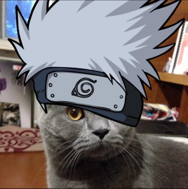 Create meme: cat naruto, toby the cat naruto, naruto cats