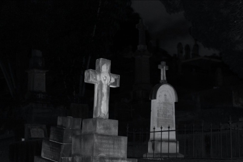 Create meme: Goths in the cemetery at night, cemetery , photos of the cemetery