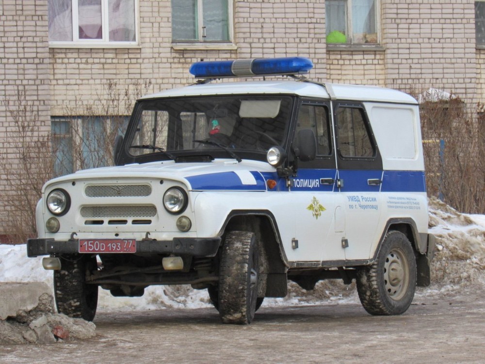 Фото полицейский уазик