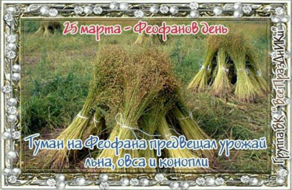 Праздник баламутов картинки прикольные. Народный календарь Феофанов день.