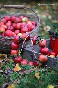 Создать мем: август природа урожай фотосессия, угощение осень яблоки, урожай яблок