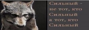 Create meme: quotes about wolves, strong quotes, wolf