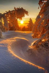 Create meme: winter landscapes, winter sunset, winter sun