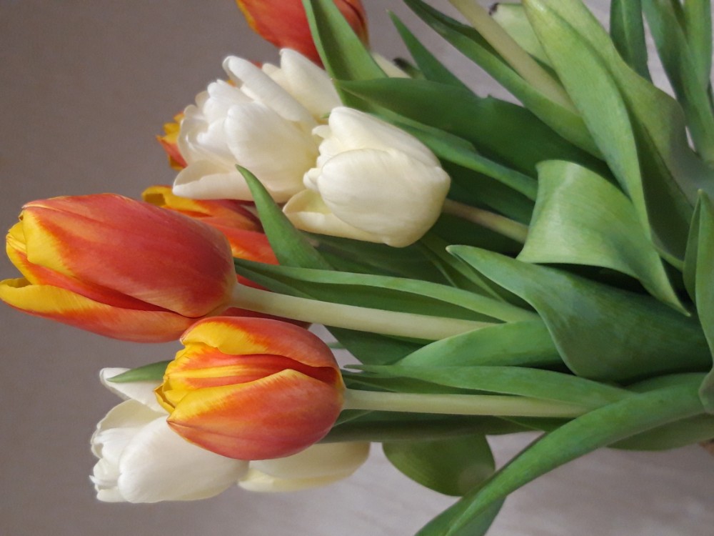 daffodils and tulips bouquet