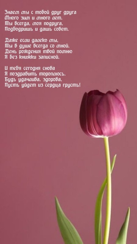 Create meme: postcard to a friend, congratulate , tulips on a gray background