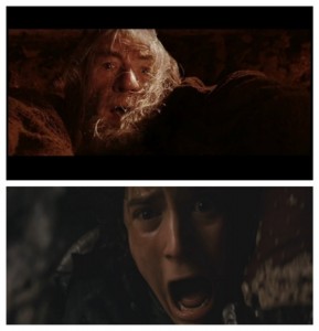 Create meme: run you fools, Gandalf run you fools parody, Gandalf fools