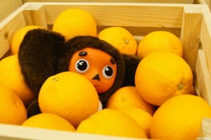 Create meme: Cheburashka in the box of oranges