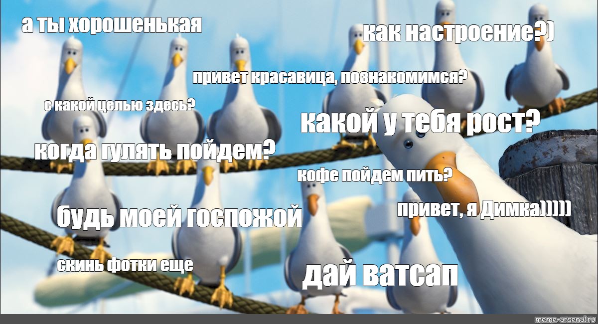 Чайка из Немо привет. Чайки дай дай. Чайки из в поисках Немо. Чайки из Немо дай дай.