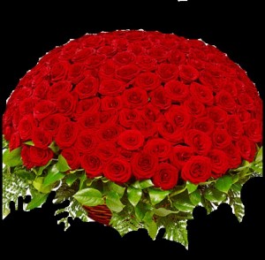 Create meme: a large bouquet of roses, 101 rose